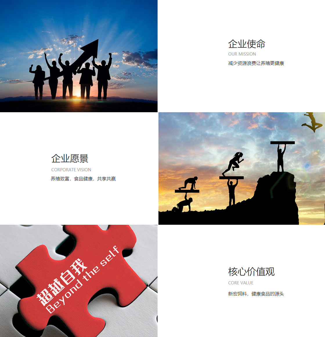 永利304官网唯一(图1)